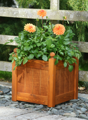 planter stained lifestyle